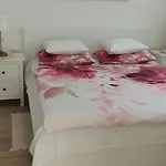 Elma Mošćenička Draga