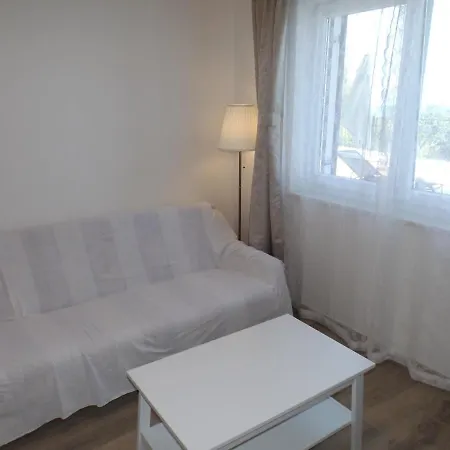 Elma Проживание в семье *