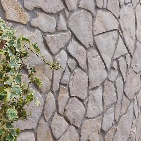 Elma Alloggio in famiglia Mošćenička Draga